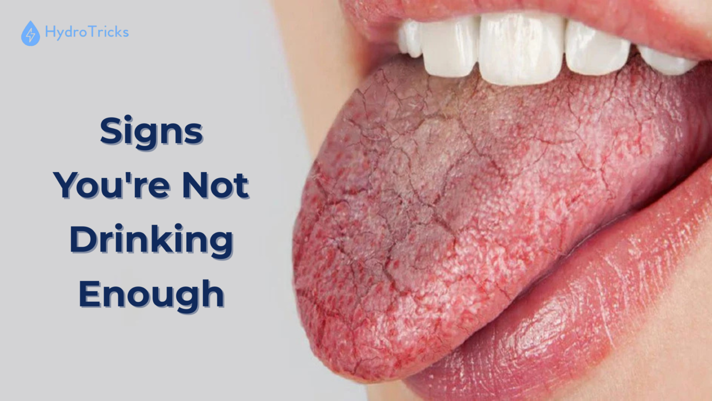 hydrotricks/how-many-water-bottles-should-i-drink-a-day/6